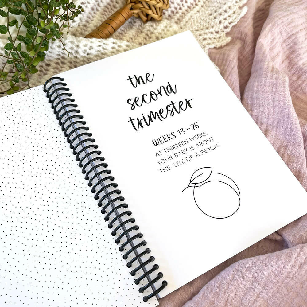 Bump to Bubba pregnancy journal open to second trimester title page flat lay, NZ pregnancy diary by Paper Heart Design